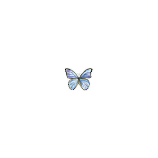 Lapis Flapis