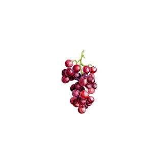 Nature's Candy