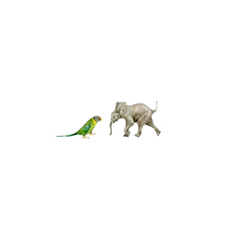 A Meeting Of The Minds