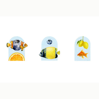 AVIARIUM TRIO | Clementris · Celestria · Aurellia