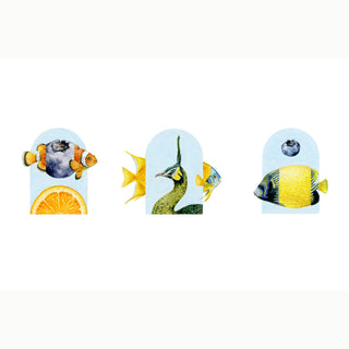 AVIARIUM TRIO | Clementris · Rhamira · Celestria