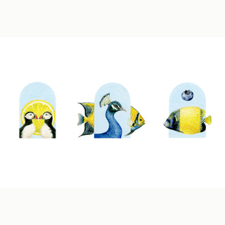 AVIARIUM TRIO | Citrithia · Seraphelle · Celestria