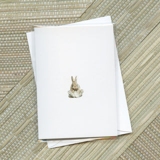Little Critters Greeting Card Bundle | Set of 16