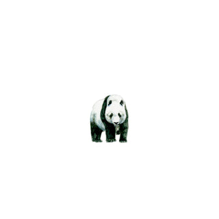 Benevolent Bear