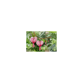 Bleeding Hearts