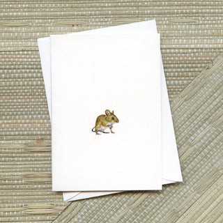 Little Critters Greeting Card Bundle | Set of 16