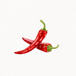 'Chillin' Original Watercolor Painting