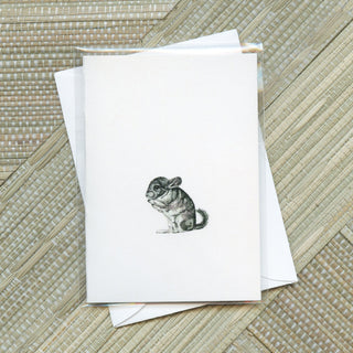 Little Critters Greeting Card Bundle | Set of 16