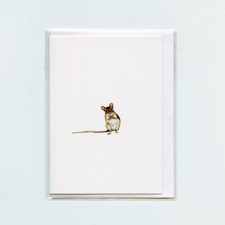 Little Critters Greeting Card Bundle | Set of 16