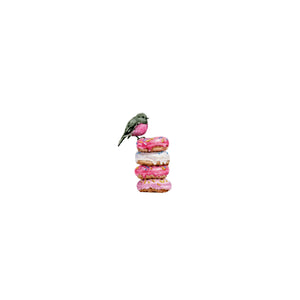Donut Feed The Birds