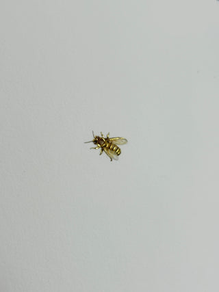 Bee Here Now | Hand-Embellished