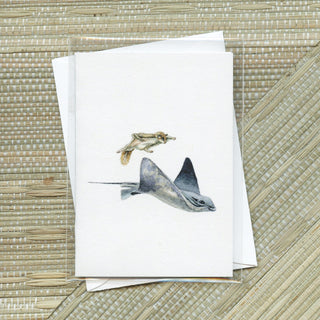 Aquatic Whimsy Greeting Card Bundle | Set of 16