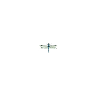 Little Wing