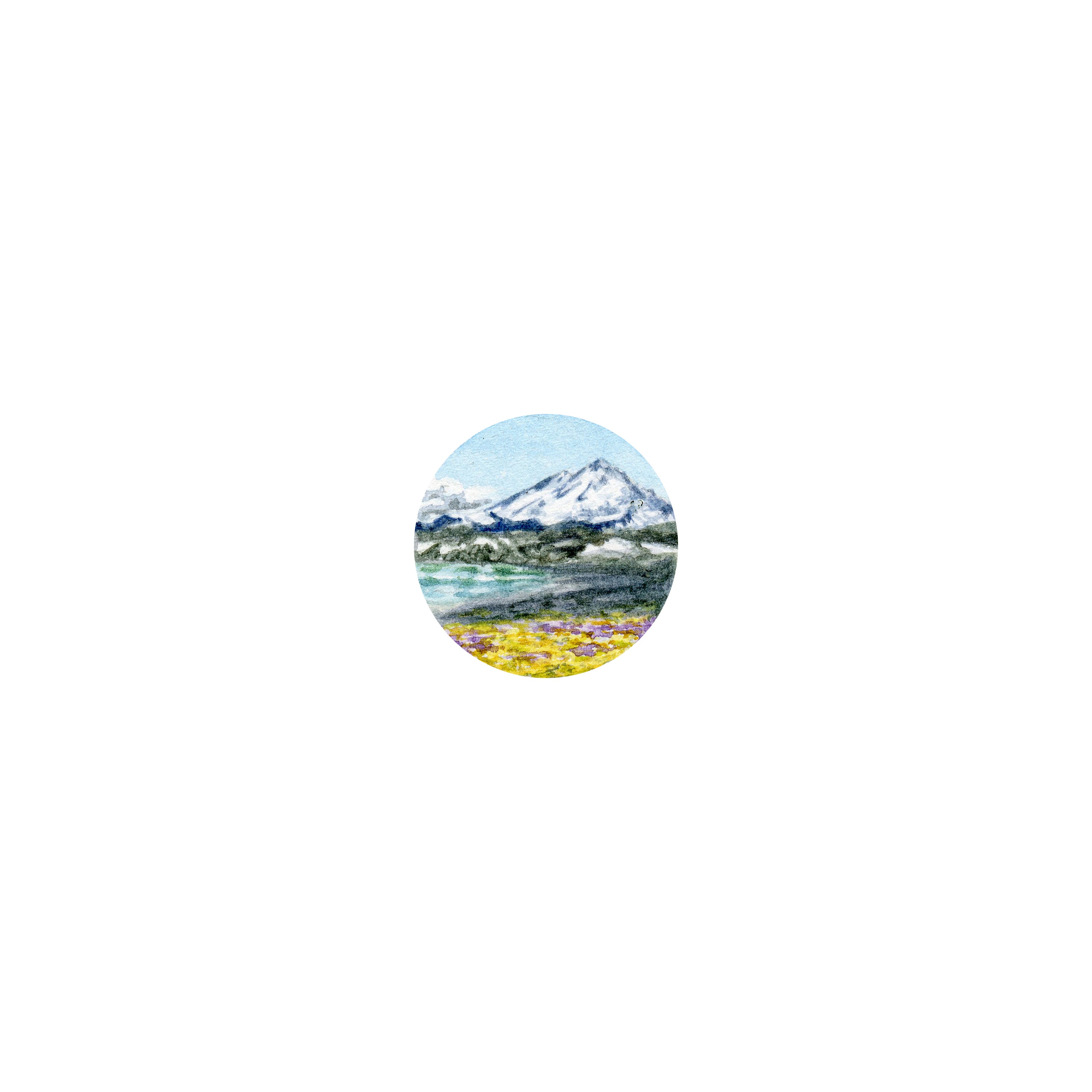 Mt. Baker