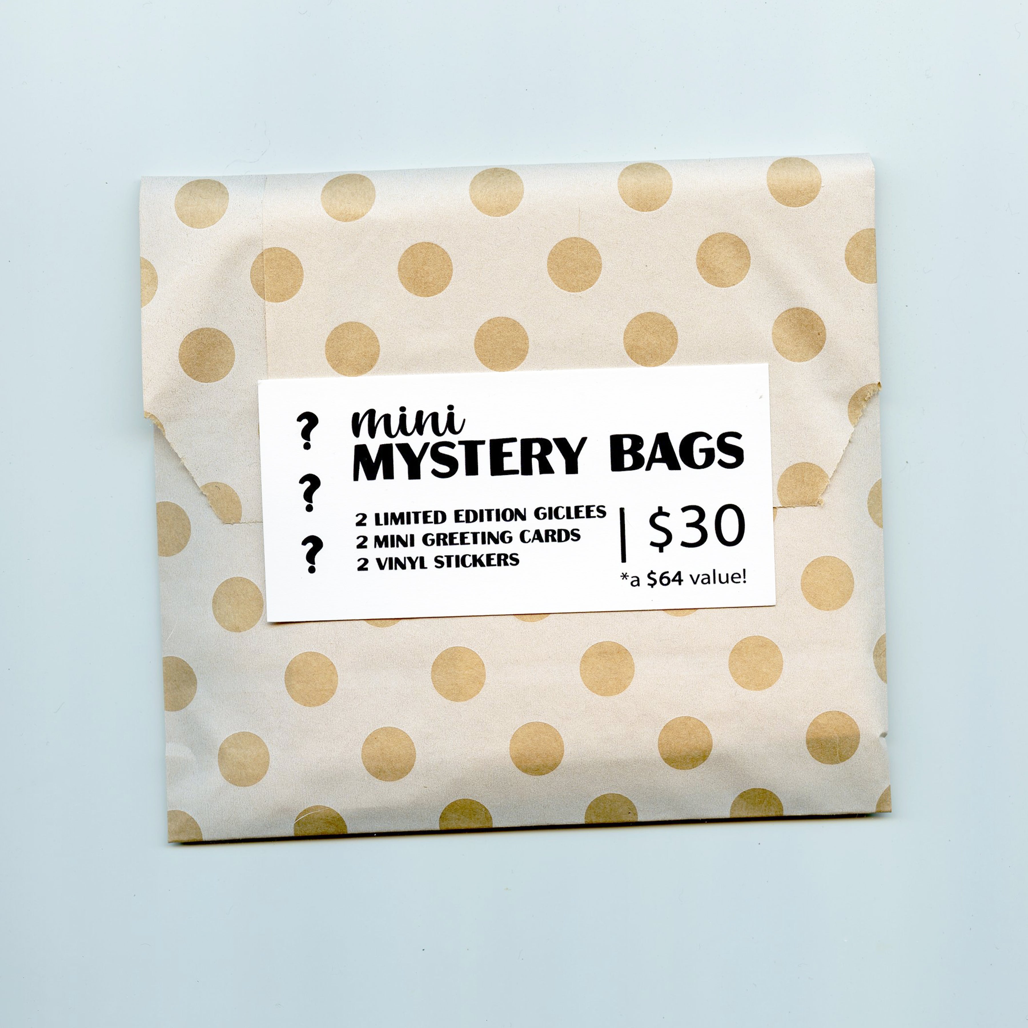 Mystery Bag!