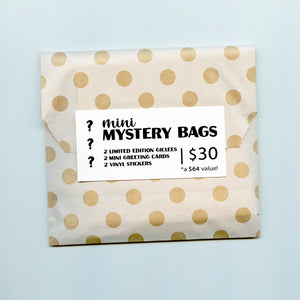 Mystery Bag!