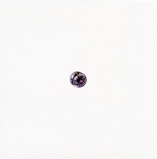 'Plum Bum' Original Watercolor Painting