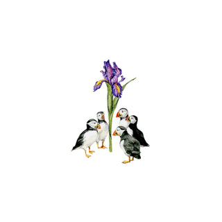 Puffin Coven