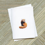Load image into Gallery viewer, Artist&#39;s Choice Greeting Card Collection | Set of 16
