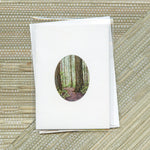 Load image into Gallery viewer, &quot;Redwood National Park&quot; Greeting Card
