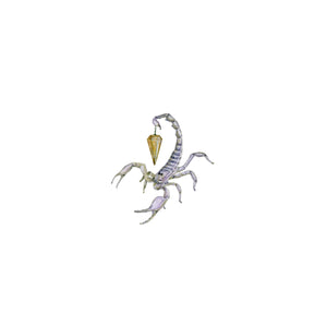 Scorpio; Enigmatic Divination