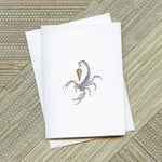 Load image into Gallery viewer, Astrological Greeting Cards | Set of 12
