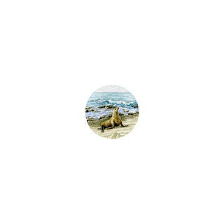 Sea Lion