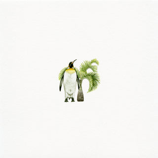 'Snow Bird' Original Watercolor Painting