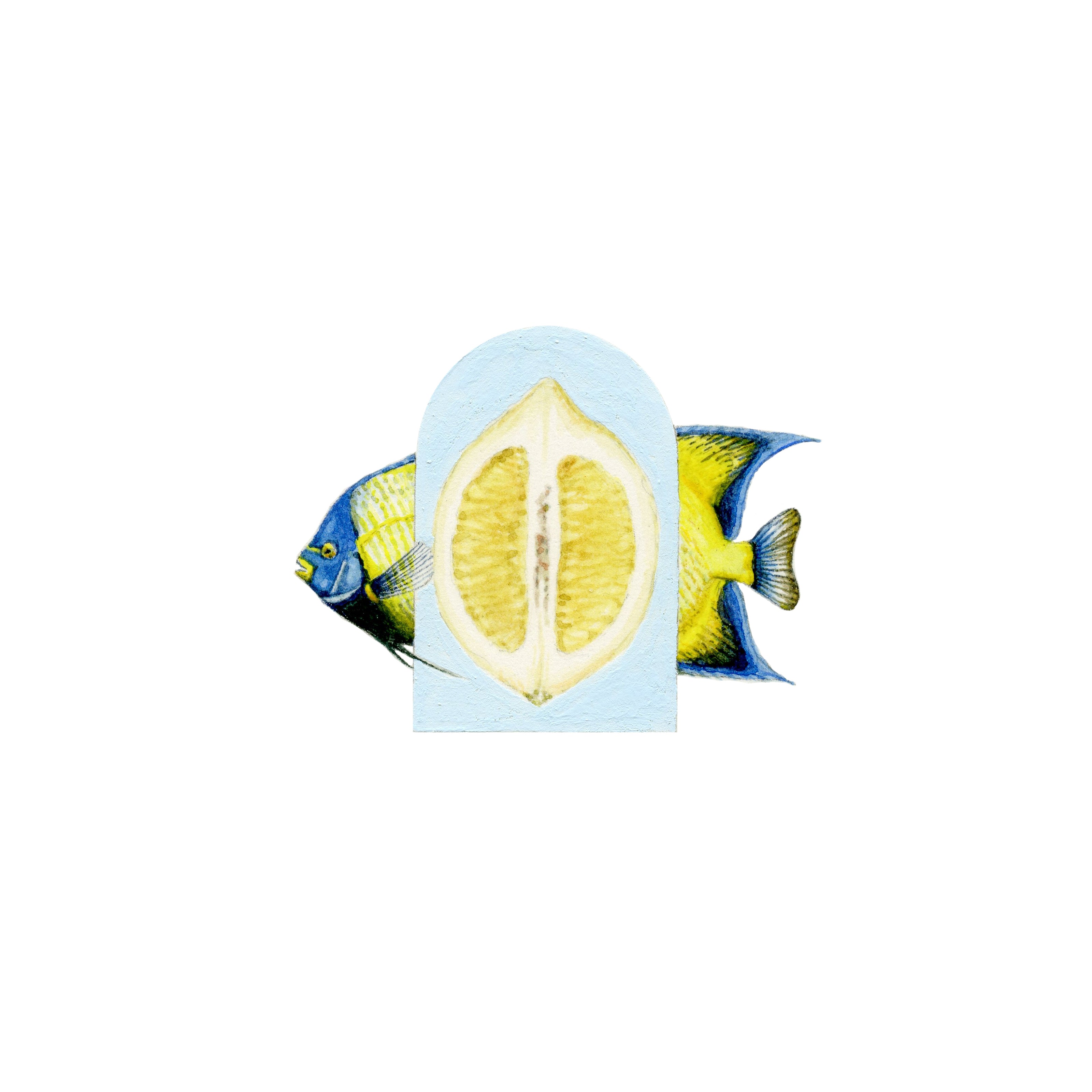 Solanthys