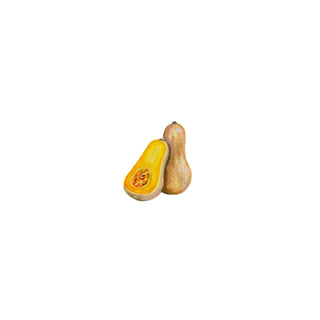 Squash