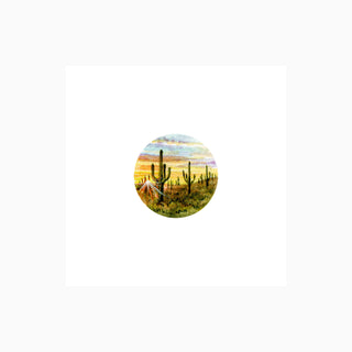 Saguaro Sunbeams | Hand-Embellished