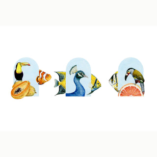 AVIARIUM TRIO | Tangeris · Seraphelle · Saphira