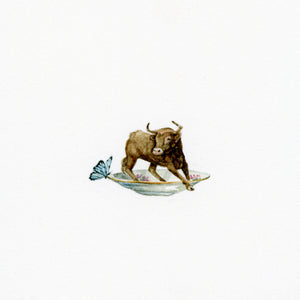 Taurus; Delicate Stance