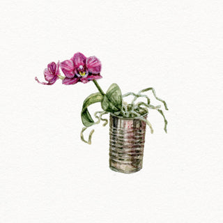 'The Illustrious Inherited Coffee Can Orchid Baby' Original Watercolor Painting