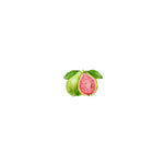 Load image into Gallery viewer, Try The Guava
