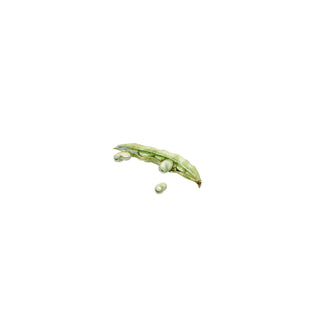 Where You Bean?