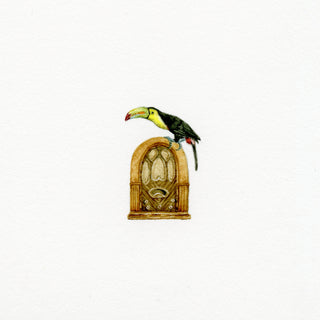 Wow, Toucan Really Dance