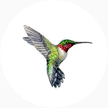 Paintings For Hummingbirds