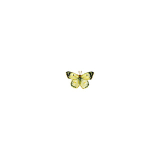 Benjamin Colias