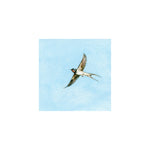 Load image into Gallery viewer, Blue Gulp
