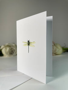 "Water Witch" Greeting Card