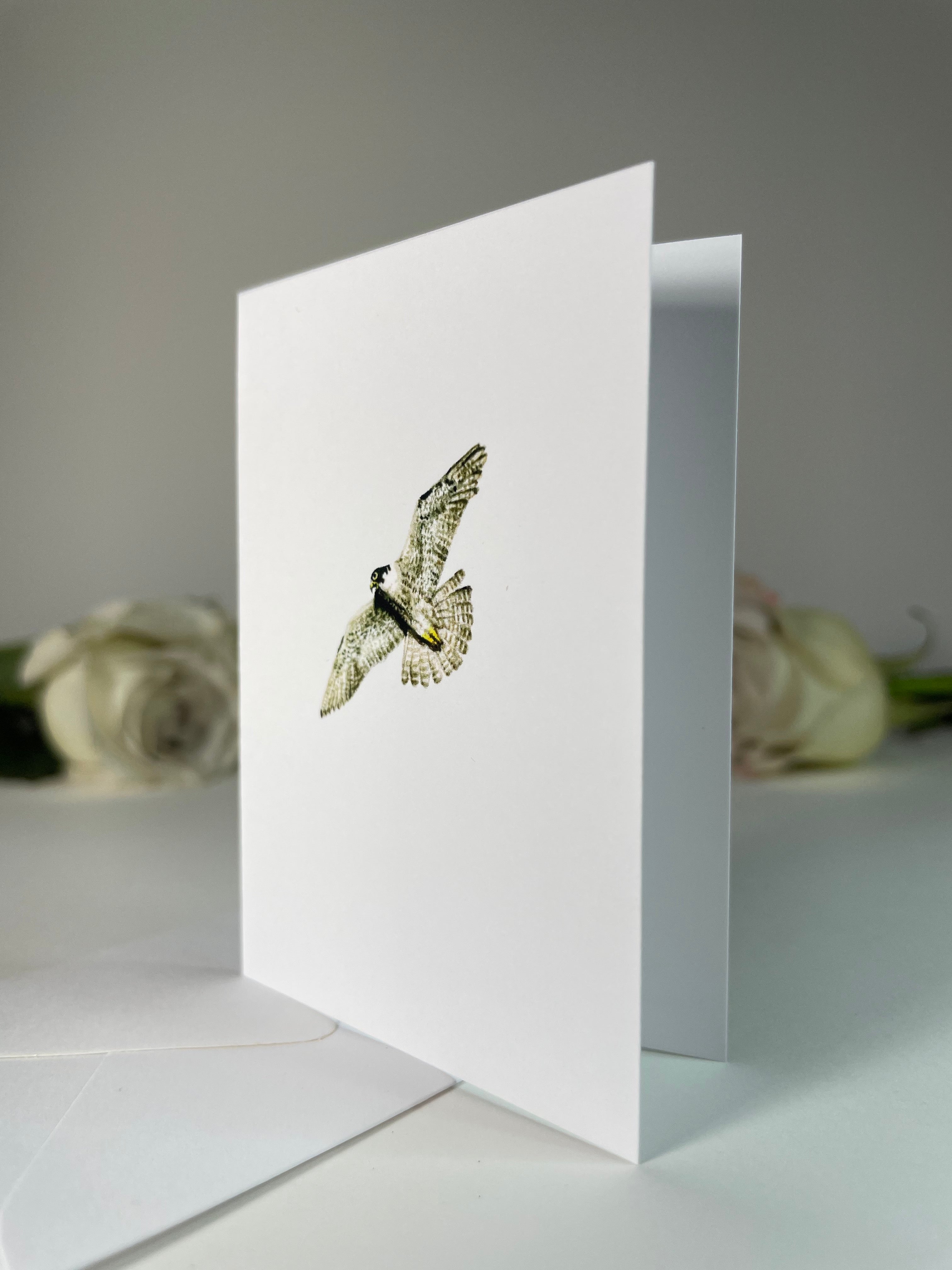 "Peregrine Falcon" Greeting Card