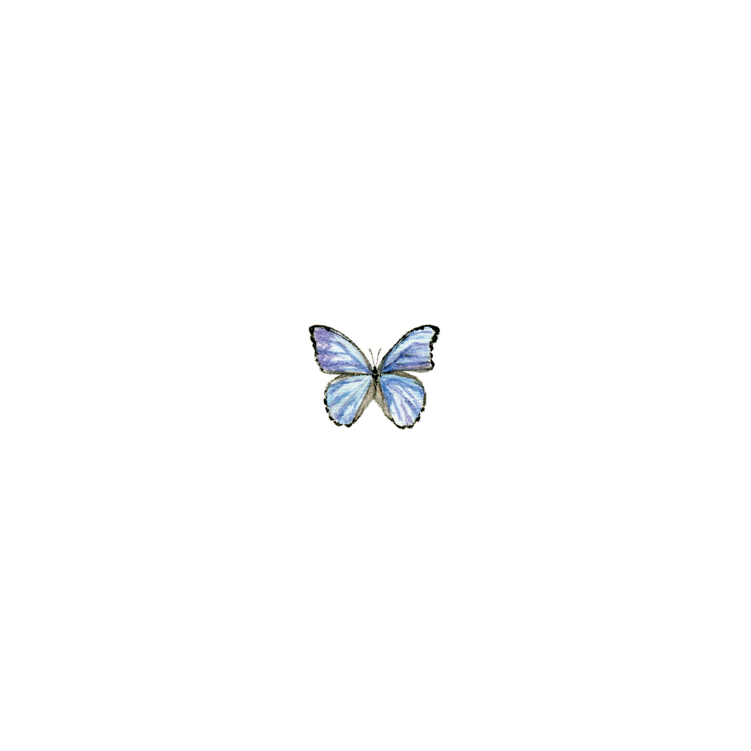 Lapis Flapis