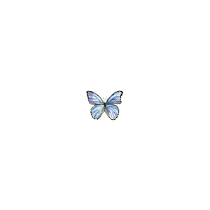 Lapis Flapis