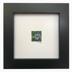 Load image into Gallery viewer, Let&#39;s Dance Starlight
