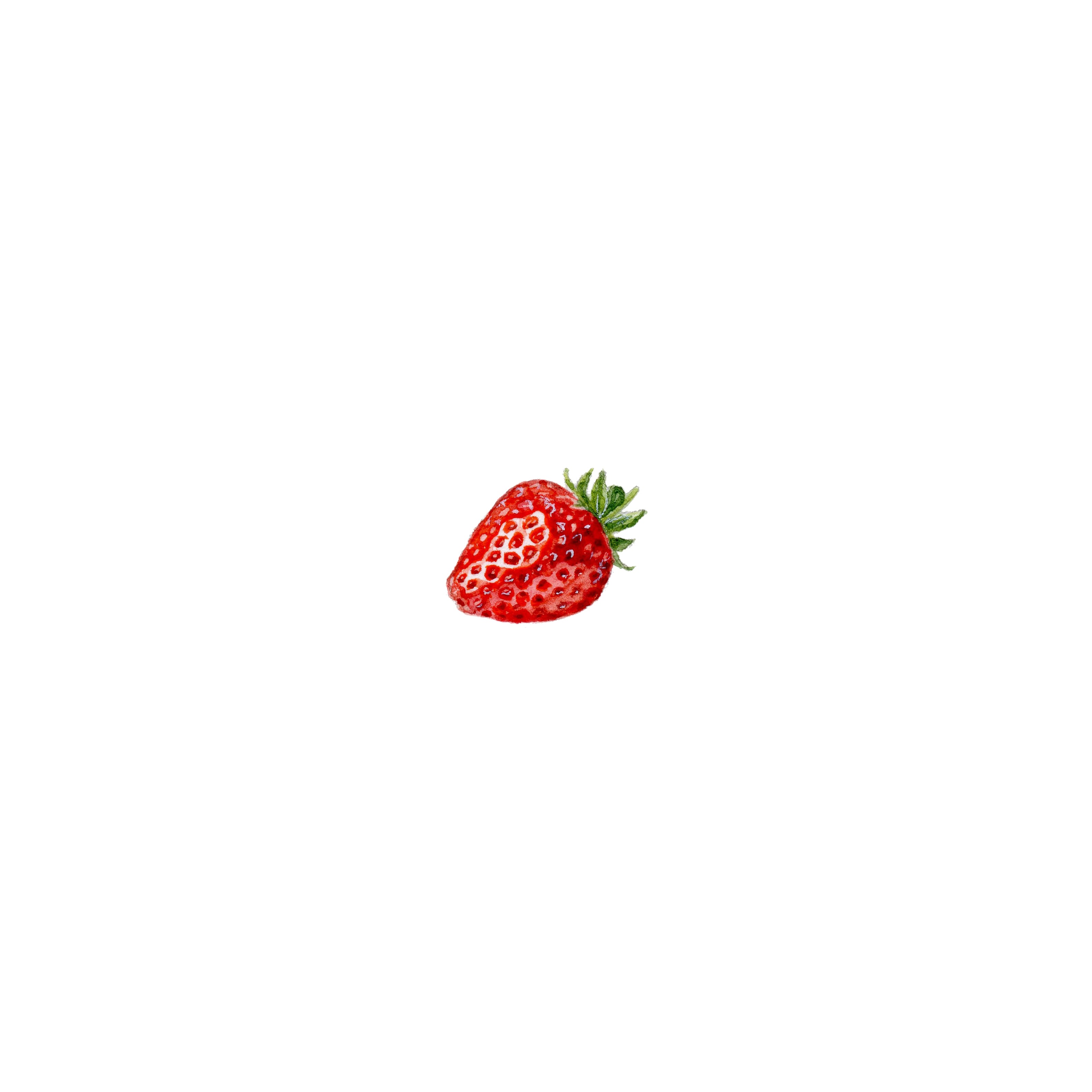 Love Bite