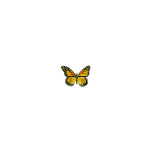Monarch Butterfly