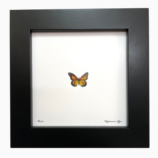 Monarch Butterfly