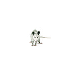 Load image into Gallery viewer, Poppy
