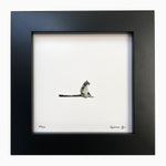 Load image into Gallery viewer, Sky Skunk
